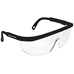 Integra Safety Glasses