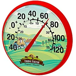 Thermometer - 12-3/4"