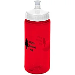 Mini Mountain Bottle - 22 oz.
