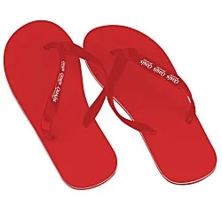 Flip Flops