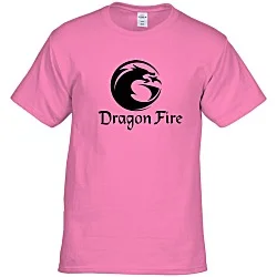 Hanes Authentic T-Shirt - Screen - Colors