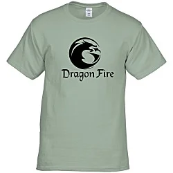 Hanes Authentic T-Shirt - Screen - Colors