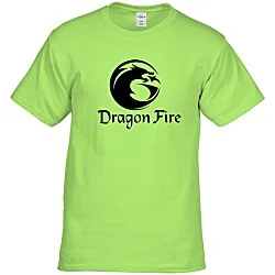 Hanes Authentic T-Shirt - Screen - Colors