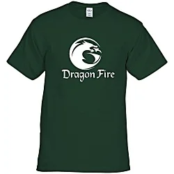 Hanes Authentic T-Shirt - Screen - Colors