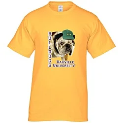 Hanes Authentic T-Shirt - Full Color - Colors