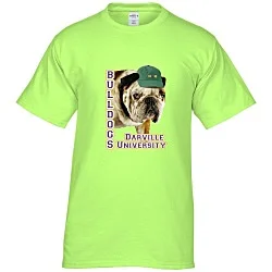 Hanes Authentic T-Shirt - Full Color - Colors
