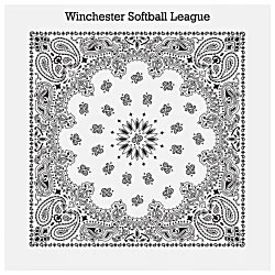 Paisley Bandana