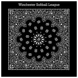 Paisley Bandana