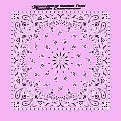 Paisley Bandana - USA Made