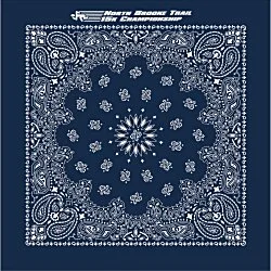 Paisley Bandana - USA Made