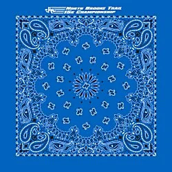 Paisley Bandana - USA Made