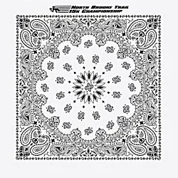 Paisley Bandana - USA Made