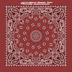 Paisley Bandana - USA Made