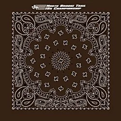 Paisley Bandana - USA Made