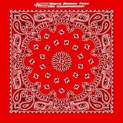 Paisley Bandana - USA Made