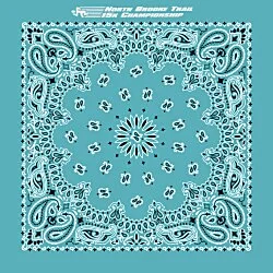 Paisley Bandana - USA Made