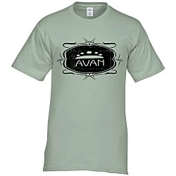 Hanes Authentic T-Shirt - Screen - Colors - Vintage Design