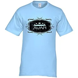 Hanes Authentic T-Shirt - Screen - Colors - Vintage Design