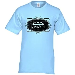 Hanes Authentic T-Shirt - Screen - Colors - Vintage Design
