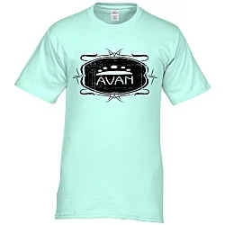 Hanes Authentic T-Shirt - Screen - Colors - Vintage Design