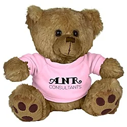 Big Paw Bear - Brown