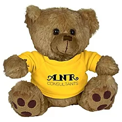 Big Paw Bear - Brown