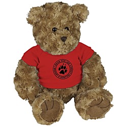 Large Traditional Teddy Bear