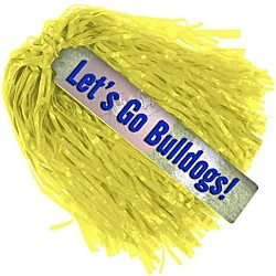 Rally Stick Pom - 11"