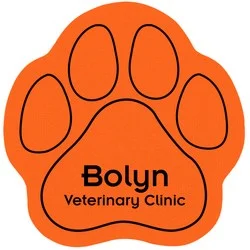 Cushioned Jar Opener - Paw