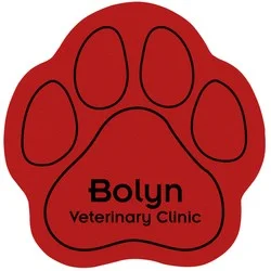 Cushioned Jar Opener - Paw