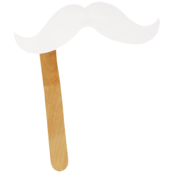 Mustache on a Stick