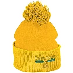 Pom Pom Knit Hat