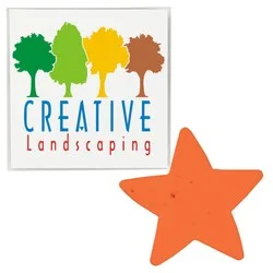 Plant-A-Shape Flower Seed Packet - Star
