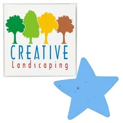 Plant-A-Shape Flower Seed Packet - Star