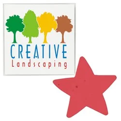 Plant-A-Shape Flower Seed Packet - Star