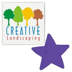 Plant-A-Shape Flower Seed Packet - Star