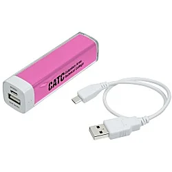 Energize Portable Power Bank