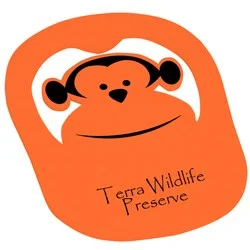 Foam Monkey Pop Up Visor