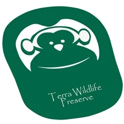 Foam Monkey Pop Up Visor