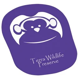 Foam Monkey Pop Up Visor