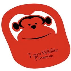 Foam Monkey Pop Up Visor