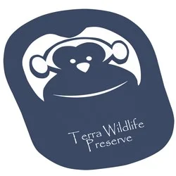 Foam Monkey Pop Up Visor