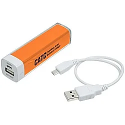 Energize Portable Power Bank - 24 hr