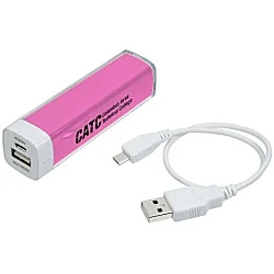 Energize Portable Power Bank - 24 hr