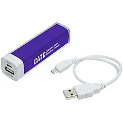 Energize Portable Power Bank - 24 hr