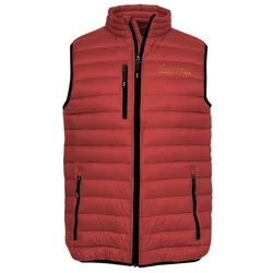 Whistler Light Down Vest - Men's - 24 hr
