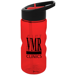 Mini Mountain Bottle with Two-Tone Flip Straw Lid - 22 oz.
