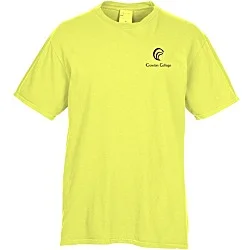 Principle Pigment-Dyed T-Shirt