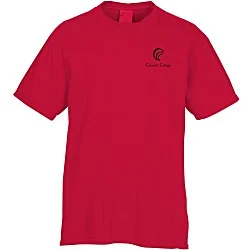 Principle Pigment-Dyed T-Shirt