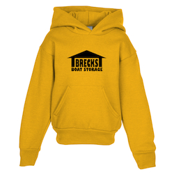 Paramount Pullover Hoodie - Youth - Screen
